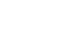 Pulse Foundation